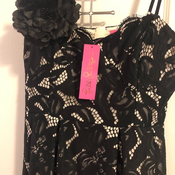 Lily Pulitzer Dress - Picture 3 of 4